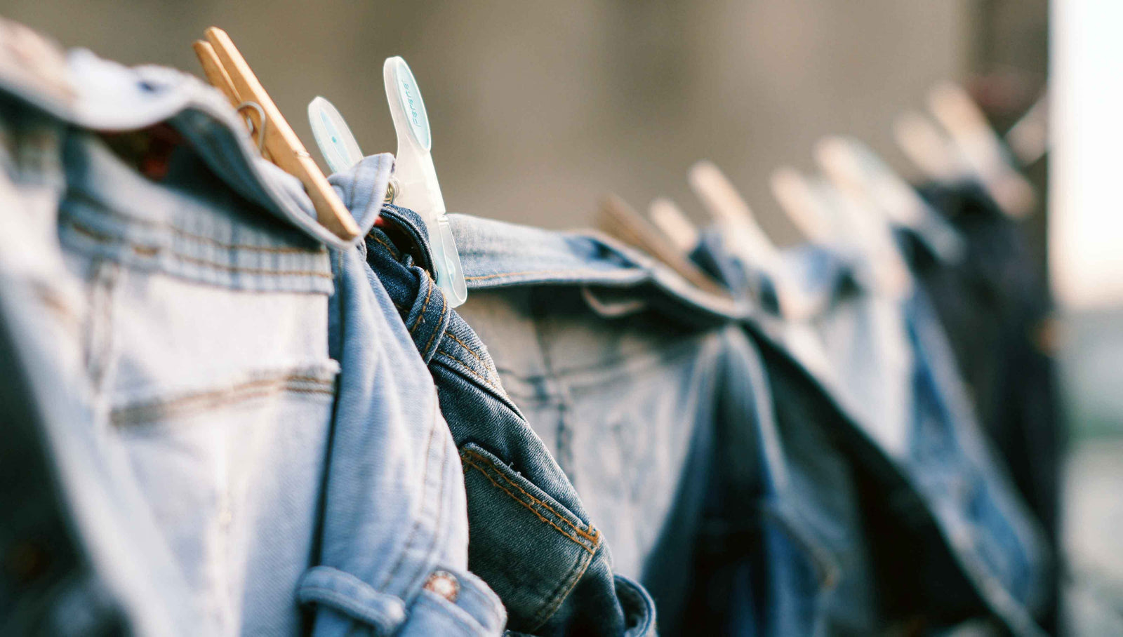 SAY GOODBYE TO CLOTHES MOTHS WITH THESE 4 NATURAL SOLUTIONS