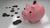 10 tips to save money on dry cleaning - piggy bank